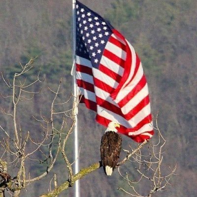 Profile Picture of Barry Perkins (@barry6969) on Twitter