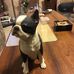 Profile Picture of Ann Short (@ann.short.3950) on Facebook