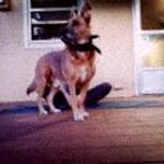 Profile Picture of Adam Thornburg (@adam.thornburgktz6kqk) on Instagram