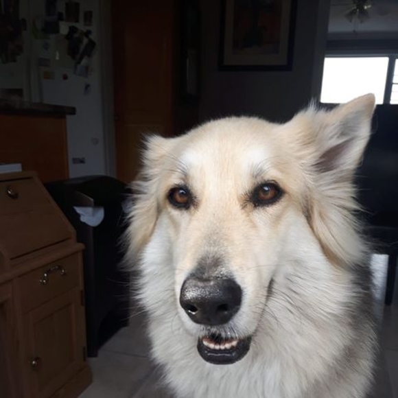 Profile Picture of Craig-vicki Waterman (@craigswaterman) on Poshmark