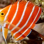 Profile Picture of Michael Scott Kaiser (@michaelscott.kaiser) on Facebook