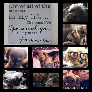 Profile Picture of Jacqueline Richards (@jacqueline.richards.777) on Facebook