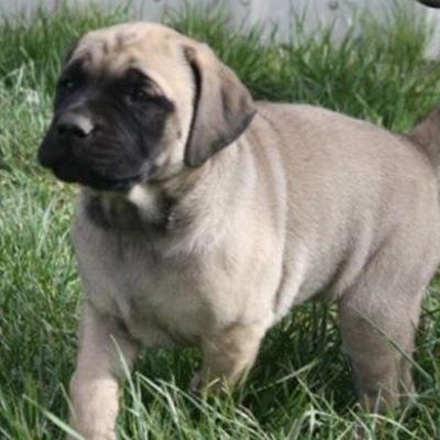 Profile Picture of Curtis Rodgers (@curtisray620) on Twitter