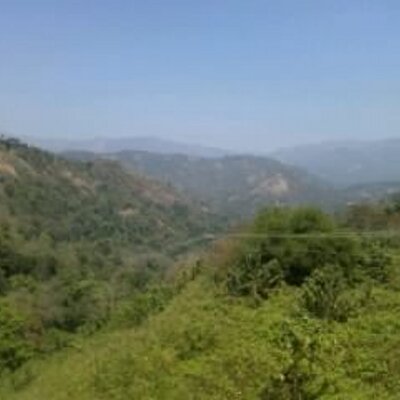 Profile Picture of Shiny Chacko (@shinychacko2) on Twitter