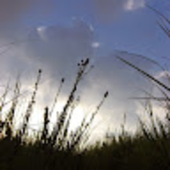 Profile Picture of Lisa Grouette (@lisa_grouette) on Poshmark