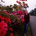 Profile Picture of Joyce Eighteighteight (@joyce.alba.773) on Facebook