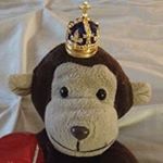 Profile Picture of Laurie Rudich (@monkeygramrules) on Instagram