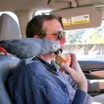 Profile Picture of John Parrot (@John-Parrot) on Facebook