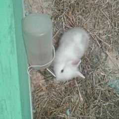 Profile Picture of Anne (@anne_schumann44) on Twitter