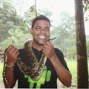 Profile Picture of Kevin Pereira (@MrManiboy18) on Youtube