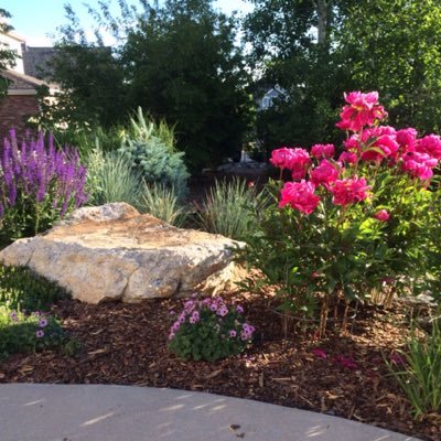 Profile Picture of Cathy&Bailey 🐶 (@keionib) on Twitter