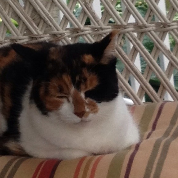 Profile Picture of Vickie Swartz (@vickie1104) on Poshmark