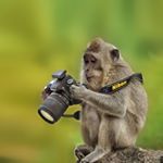 Profile Picture of Adam Sheridan-Taylor (@astaylorphotography) on Instagram