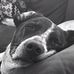 Profile Picture of Bob Hallmark (@bob.hallmark.37) on Facebook