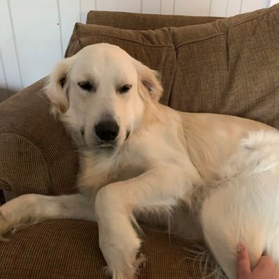 Profile Picture of Patrick Rambo (@PatrickRambo9) on Twitter