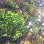 Profile Picture of Thomas Samuel (@bizaarby) on Instagram