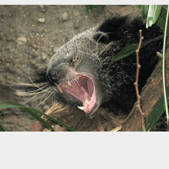 Profile Picture of Erika Linker (@elinker92) on Poshmark