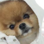 Profile Picture of Fernando Arambula (@f_arambula) on Instagram