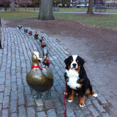 Profile Picture of Eric Pizzi (@EricPizzi) on Twitter