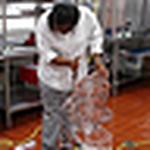 Profile Picture of Gillian Mcfarlane-ossmann (@memorable moments by gill) on Flickr