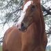 Profile Picture of Jean McKnight-Guymon (@jeanmcknightguy) on Pinterest