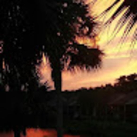 Profile Picture of Phyllis Arnold (@phyllisarnol918) on Poshmark