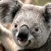 Profile Picture of Stephen Weiler (@sphweiler) on Pinterest