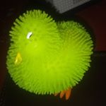 Profile Picture of Harold The Chicken (@harold_the_chickens_life) on Instagram