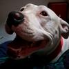 Profile Picture of Kim Hess (@@kimhess1) on Tiktok