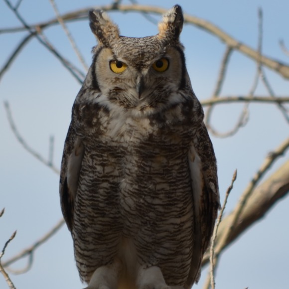 Profile Picture of Erick Russon (@1patsfan1) on Poshmark