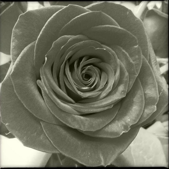 Profile Picture of Jess Hansen (@jgo1429) on Poshmark