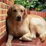 Profile Picture of Ernesto Q (@ernestoquintoc) on Instagram