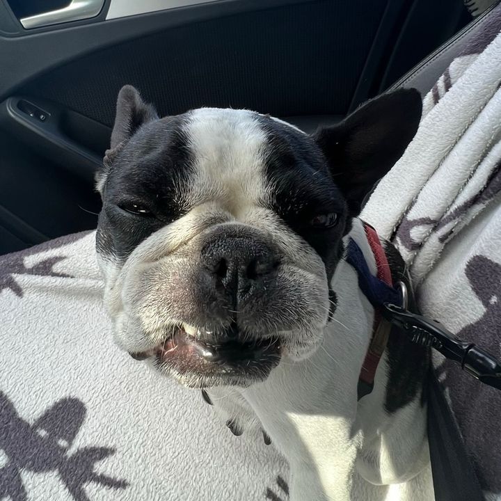 Profile Picture of Benjamin Amundsen (@benjamin.m.a) on Tiktok