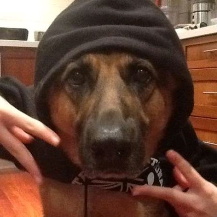 Profile Picture of Colin Bangbros (@colinben8) on Tiktok