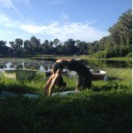 Profile Picture of Carly Wagner (@yogicchick) on Instagram