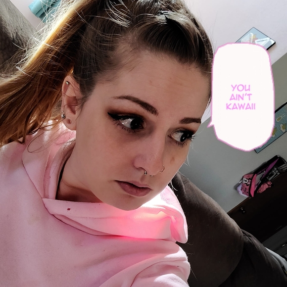 Profile Picture of Raeann Ramennoodles (@doodlebeandip) on Poshmark