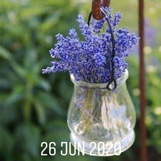 Iha - Facebook Profile Picture of Iha (@iha.iha.1650) on Facebook