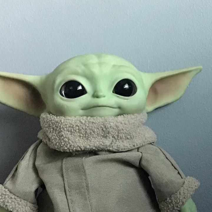 Profile Picture of user6067000944364 (@@damiangonzalez3121) on Tiktok