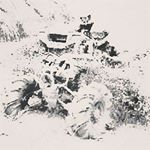 Profile Picture of brady (@bradycphipps12) on Instagram