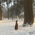 Profile Picture of Calvin Boyd (@calvin_boyd) on Instagram