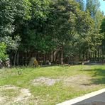 Profile Picture of Oliys Peter (@Oliys-Peter) on Facebook