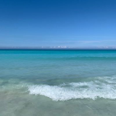 Profile Picture of Ao Liu (@AoLiu5) on Twitter