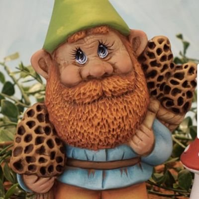 Profile Picture of Mike Morel (@bigdaddymorel) on Twitter