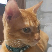 Profile Picture of Maria Maria Ramilo (@MariaMariaRamilo) on Youtube