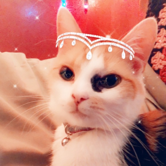 Profile Picture of Cheyanne Lembrick (@shyluminary) on Poshmark