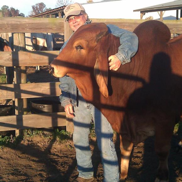 Profile Picture of Russell Frandle (@brahman44) on Poshmark