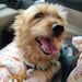 Profile Picture of Betty Tordoff (@bettyjtordoff) on Pinterest