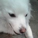 Profile Picture of Aparna Dasgupta (@aparna.dasgupta.73) on Instagram