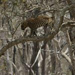 Profile Picture of Angus Duncan (@angus5405) on Instagram