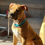 Adam Kamen - Instagram Profile Picture of Adam Kamen (@kikinski) on Instagram